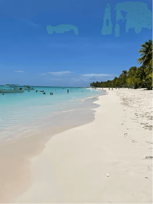 From Santo Domingo: Isla Saona Day Trip with Catamaran Ride - Dominican Republic