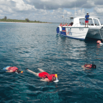 Saona Island Full-Day Tour with Lunch from Punta Cana - Photo 3 (Gallery view)