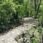 Santo Domingo: Natural Treasures of the City - Photo 3 (Gallery view)