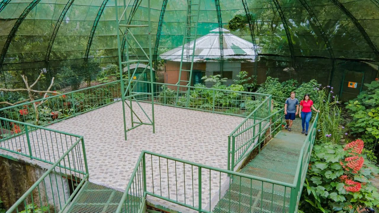 Jungle Eco Tour