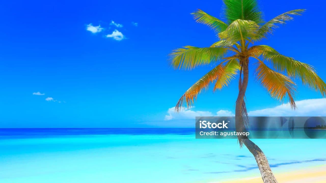 Saona Island - ¡Full Day Open Bar, Lunch and Round Trip!