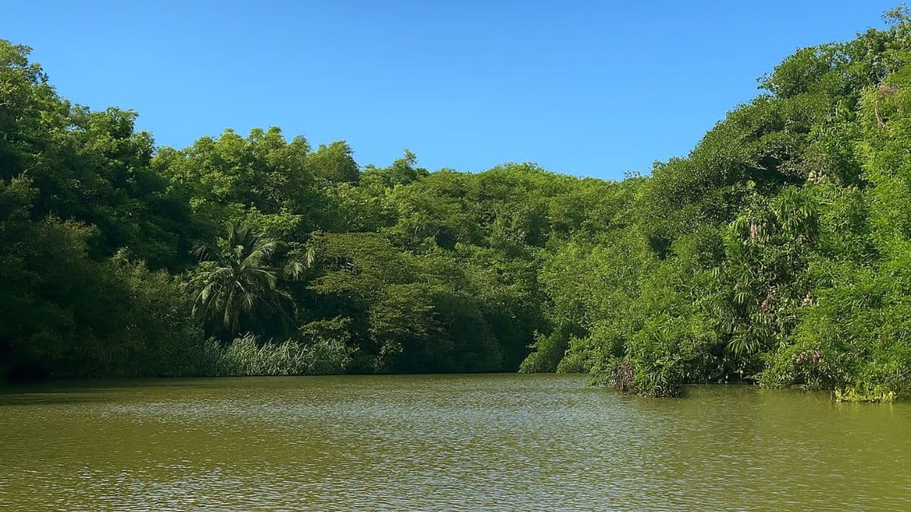 Private Boca de Yuma Day Tour