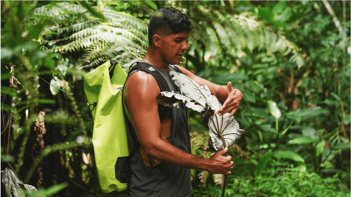 El Yunque Rainforest Hike & Waterslide Tour - Photo 3 (Gallery view)