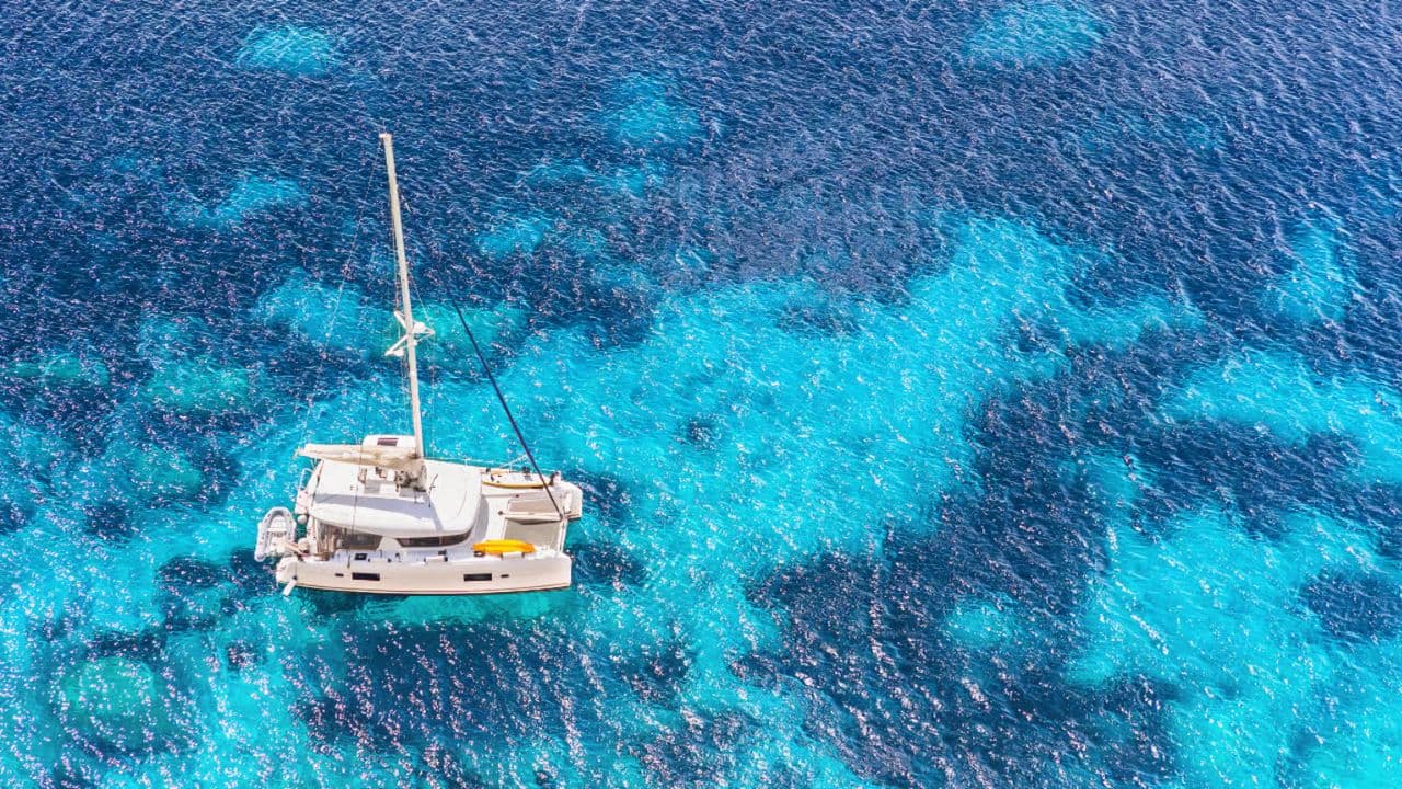 Catamaran Tour to Saona Island: Lunch & Open Bar Experience