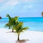 Punta Cana: Saona Island in Private Vehicle and Guide