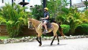 From Bávaro: Higüey Tour with Ranch Horse Ride and Lunch - Photo 5 (Gallery view)