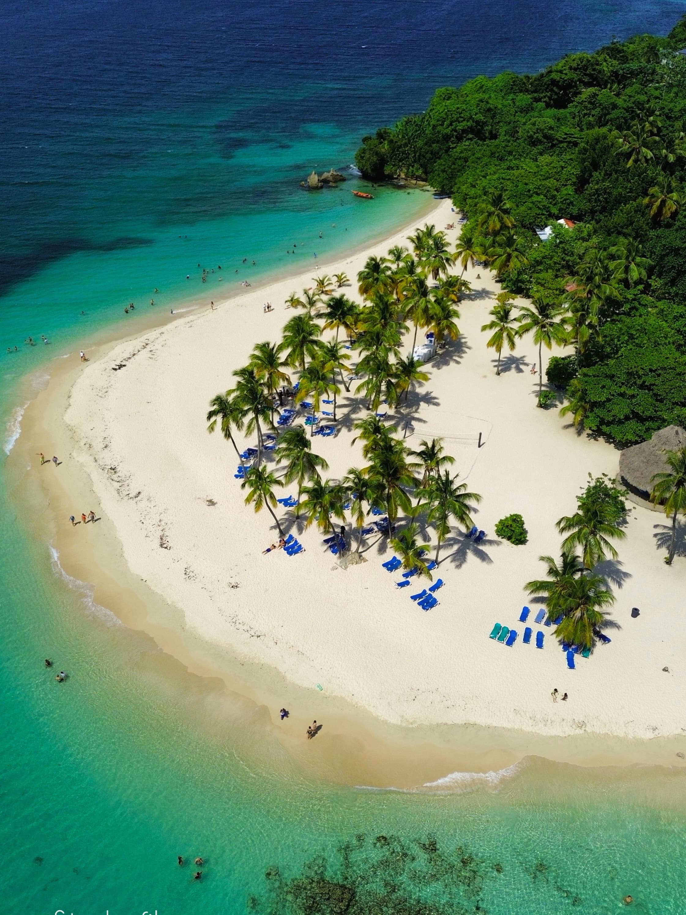 Los Haitises National Park and Cayo Levantado From Punta Cana - Photo 3 (Gallery view)