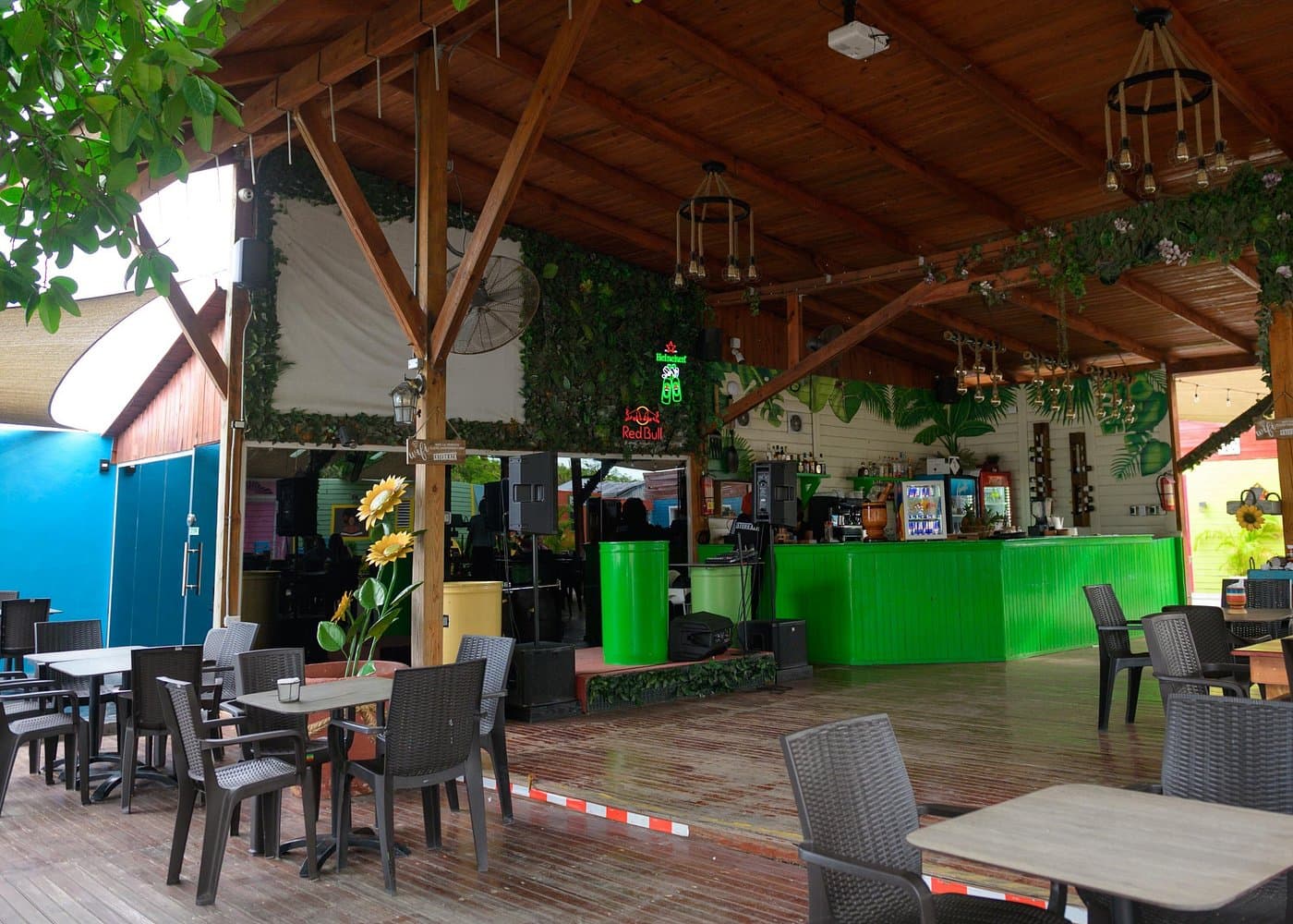 Bar Crawl in Punta Cana