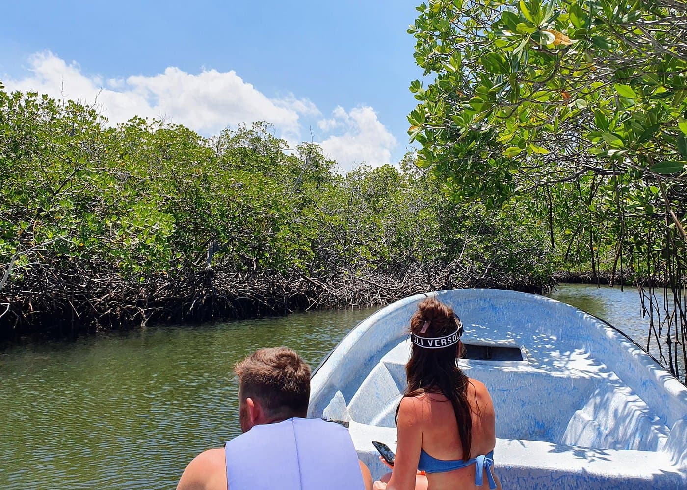 Private Tour to Paradise Island with Snorkel & Manatee Sanctuary
