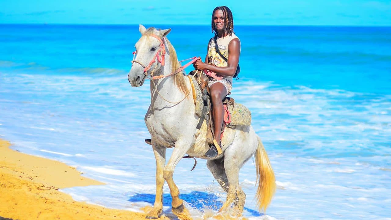 HORSEBACK RIDING BEACH MACAO PUNTA CANA WITH PICKUP HOTEL