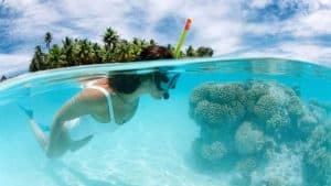 Catalina Island: Day Trip – Best Snorkeling!