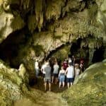 Los Haitises National Park + Lunch at Caño Hondo from Sabana de la Mar