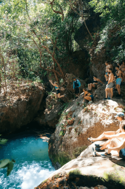 Rincon de la Vieja: La Leona Waterfall Private Tour - Photo 5 (Gallery view)