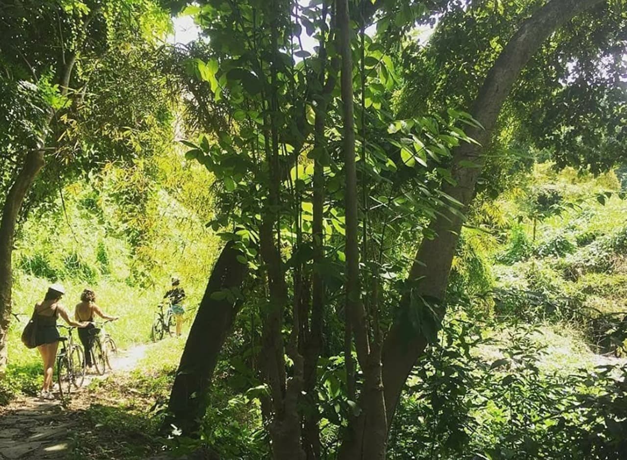 Havana Enchanted Forest Bike Tour - Dominican Republic
