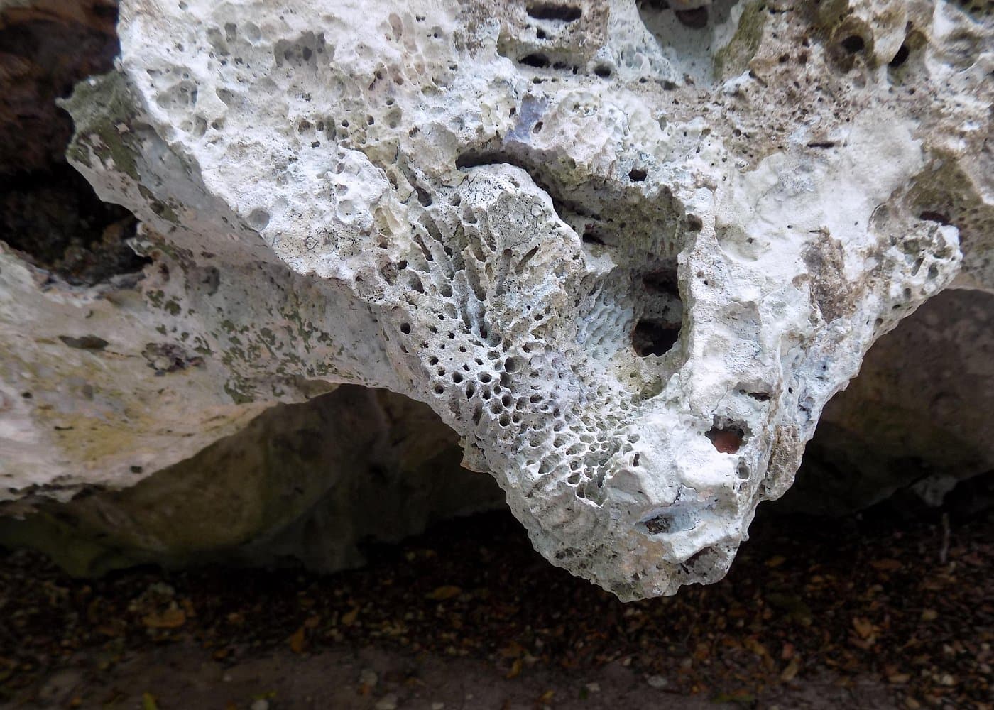 Green Grotto Caves Excursion from Port Antonio