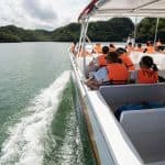Los Haitises National Park: Boat and Walking Tour with Lunch