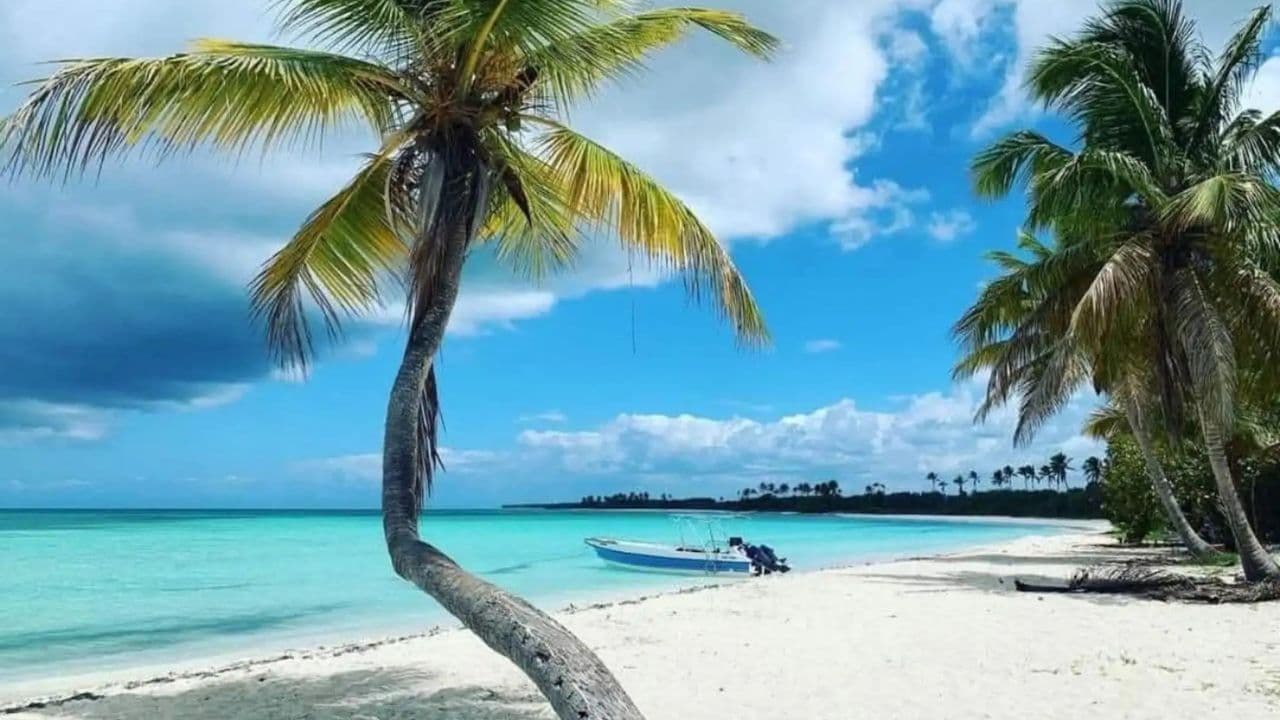 All-Inclusive Saona Island Day Trip from Punta Cana