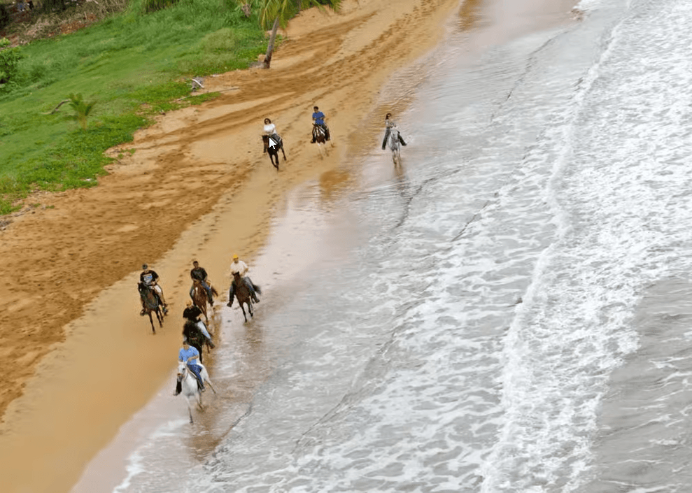 Carabalí Rainforest Park: Beach Horseback Riding - Photo 5 (Gallery view)