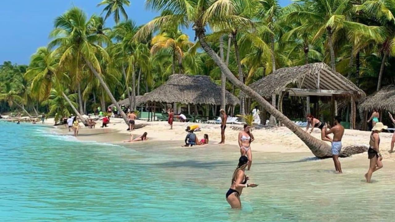 Bavaro: Saona Island VIP Speedboat Tour with Open Bar
