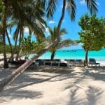 Punta Cana: Catamaran to Saona Island with Lunch & Open Bar