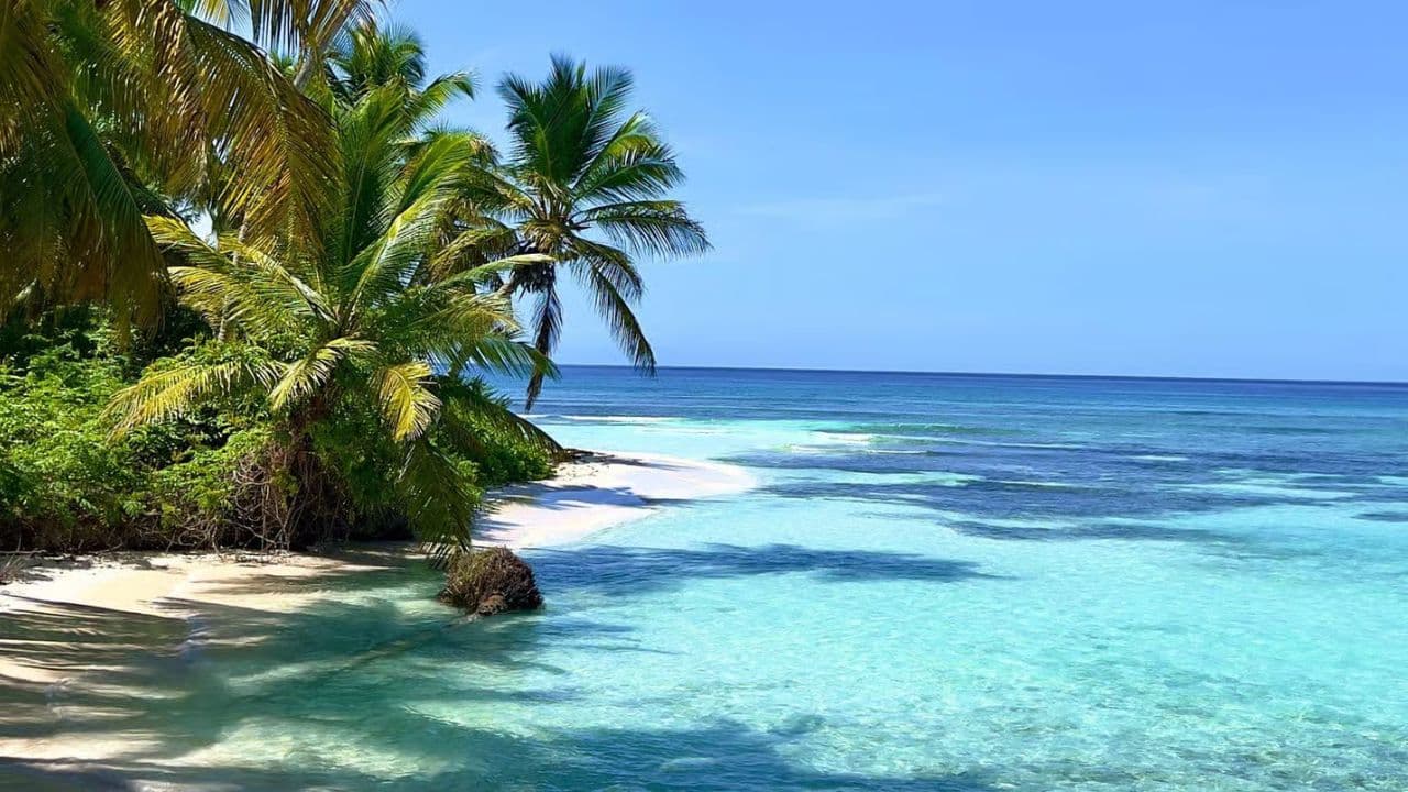 Reliable Airport Transfers to and From Punta Cana Airport - Dominican Republic