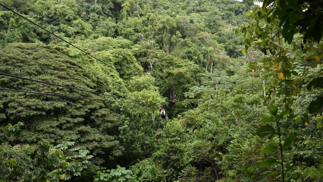 Puerto Plata: Waterfalls, Zip Line Adventure and Horse Ride