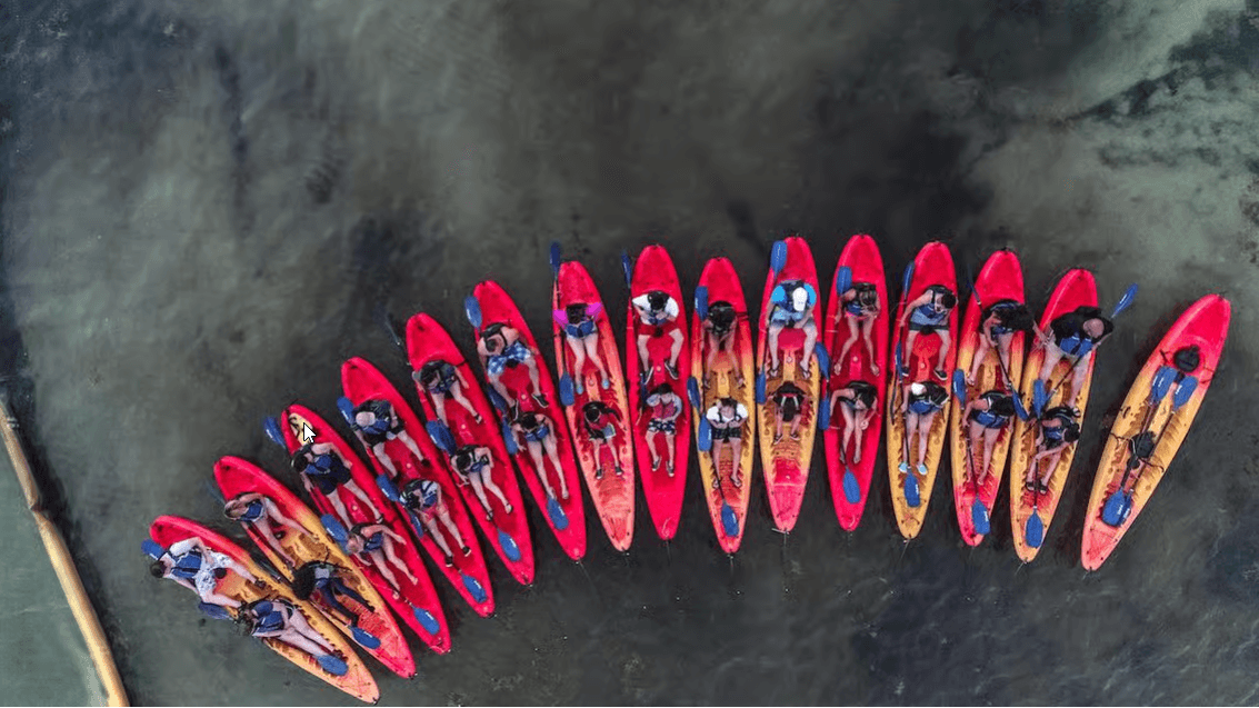 Fajardo: Bioluminescent Bay Kayak Tour in Puerto Rico - Photo 4 (Gallery view)