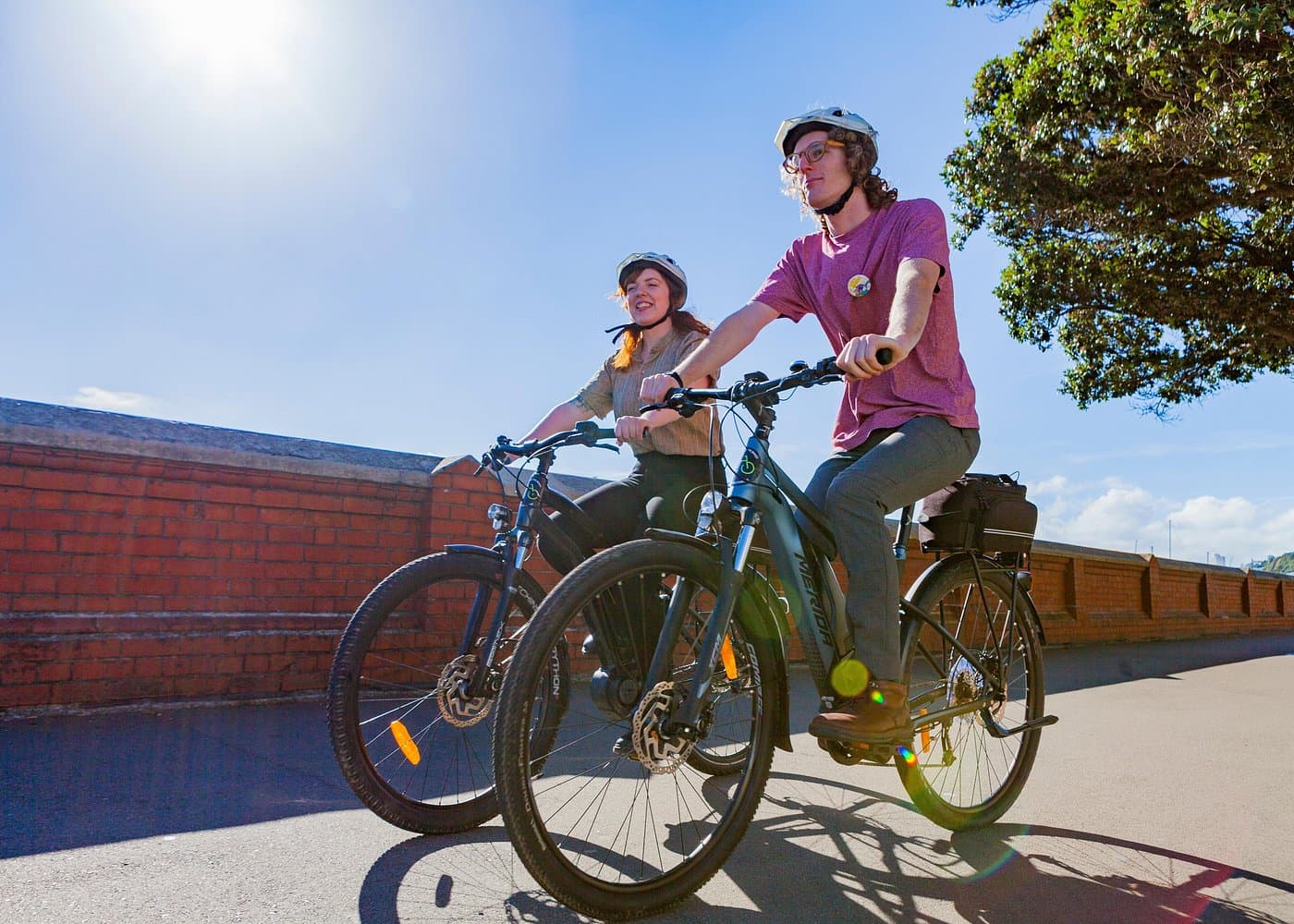 Wellington Electric Bike Rental