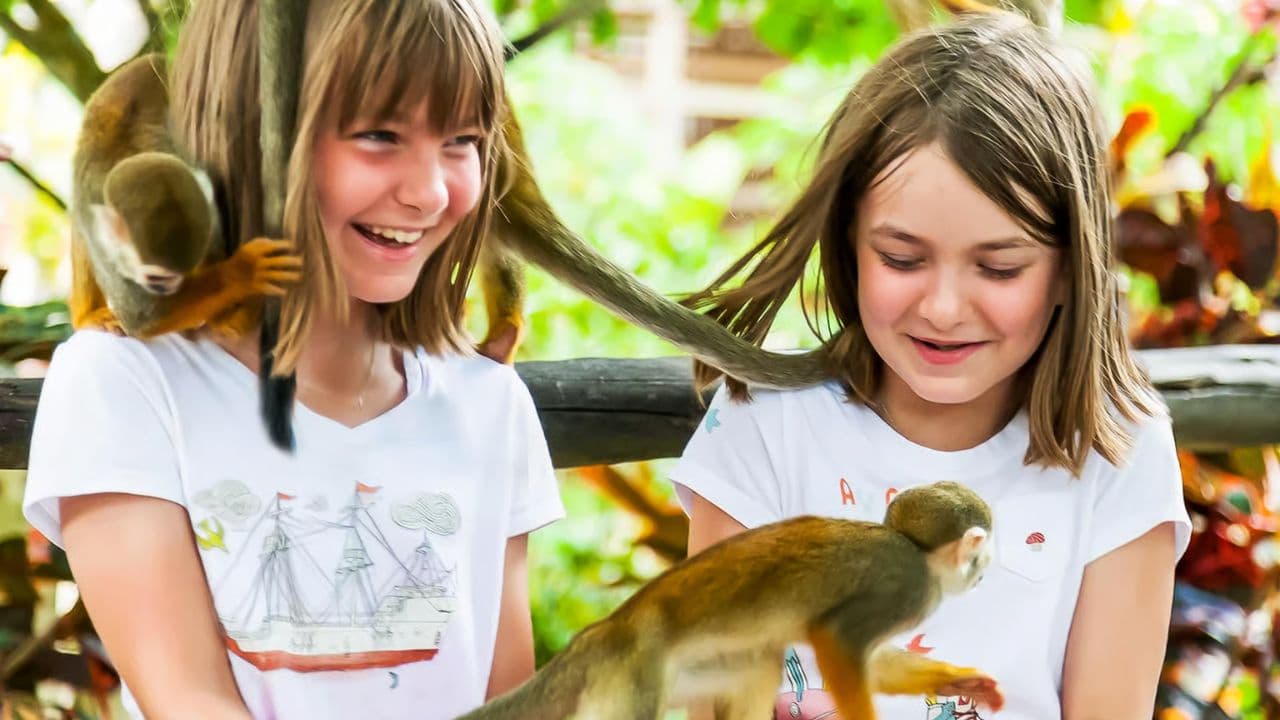 Monkeyland tour + Transportation from cruise/hotel - Dominican Republic