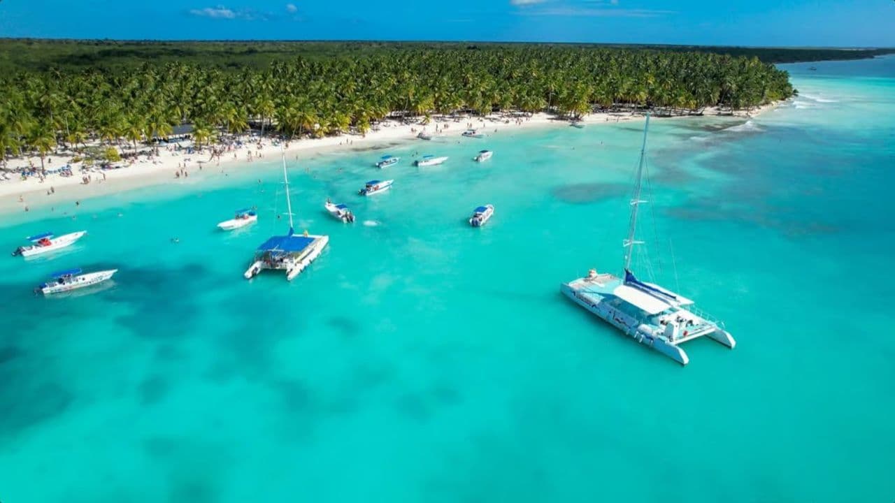 From Punta Cana: Saona Island Day Trip with Buffet Lunch