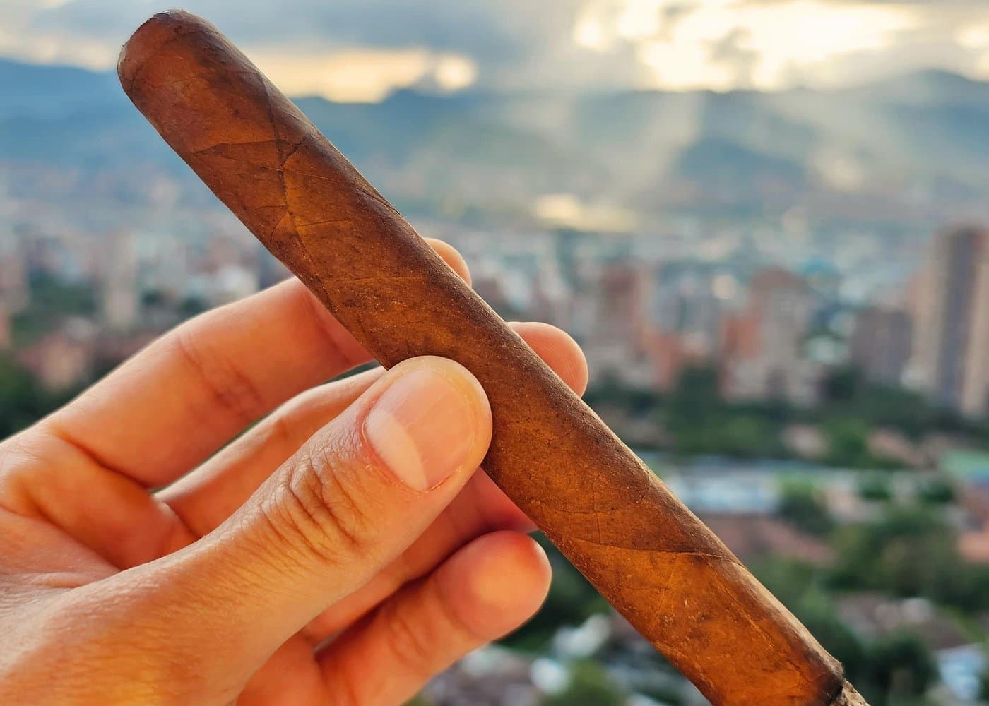 Private Cuban Tobacco, Rum and Coffee Tasting with City View
