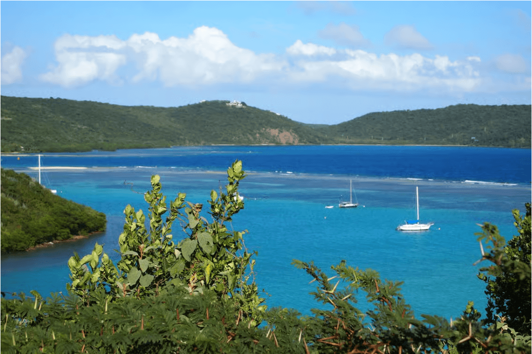 De Fajardo : bateau et plongée en apnée sur l'île de Culebra avec tout compris - Photo 5 (Gallery view)