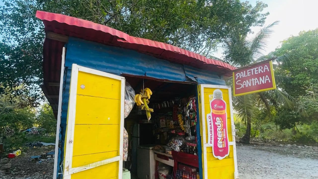 Santo Domingo: Saona Island full-day tour all-inclusive - Photo 3 (Gallery view)