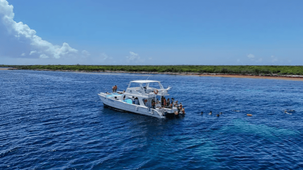Isla Catalina desde Punta Cana: todo incluido, más exclusiva que Saona - Photo 3 (Gallery view)