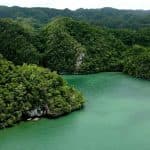 https://gobookingadventures.com/tour/los-haitises-boat-excursion-and-walking-tour-with-lunch
