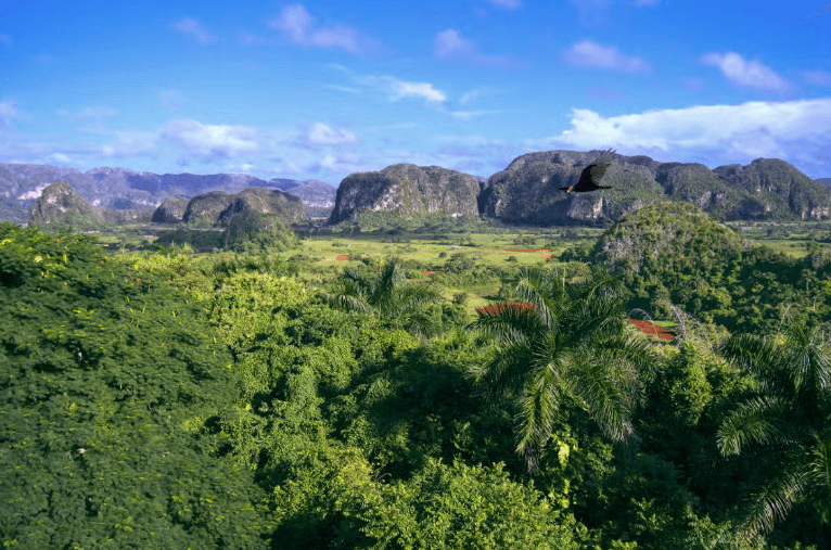 Viñales Valley Classic Car Tour