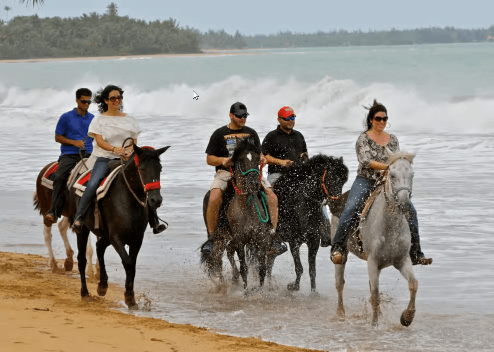 Carabalí Rainforest Park: Beach Horseback Riding - Dominican Republic