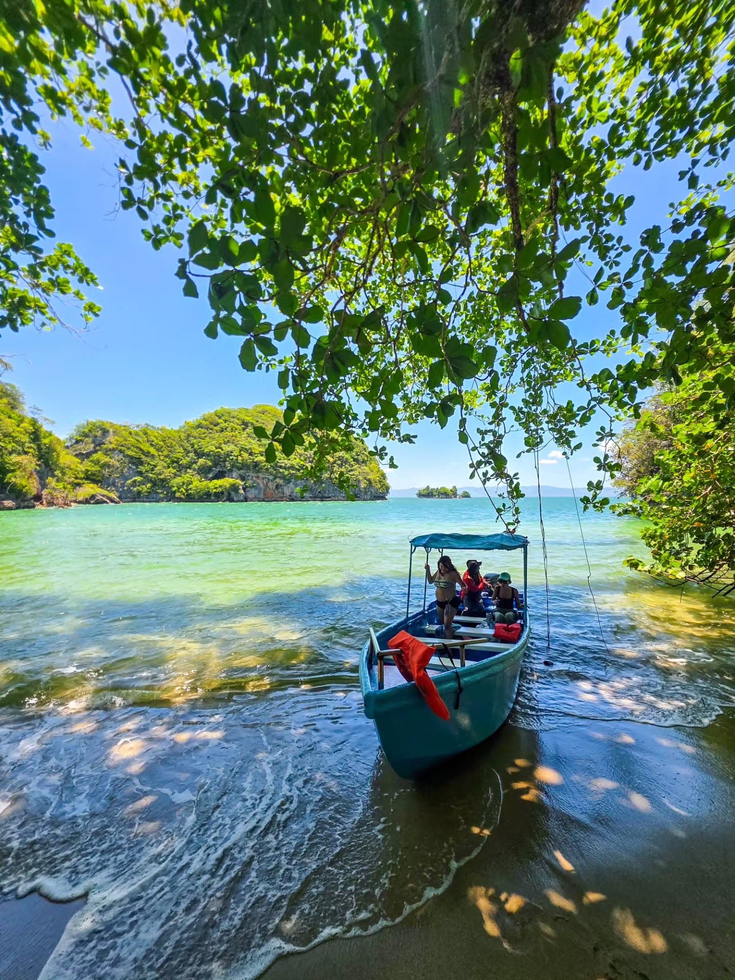 Sabana de la Mar: Los Haitises Park Bike and Boat Tour - Photo 5 (Gallery view)