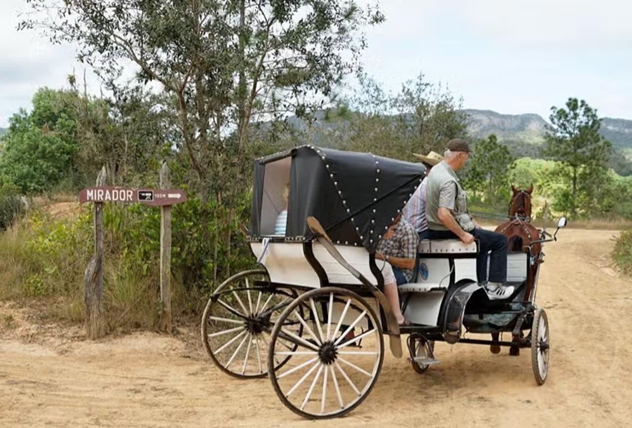 Viñales Valley Carriage Ride