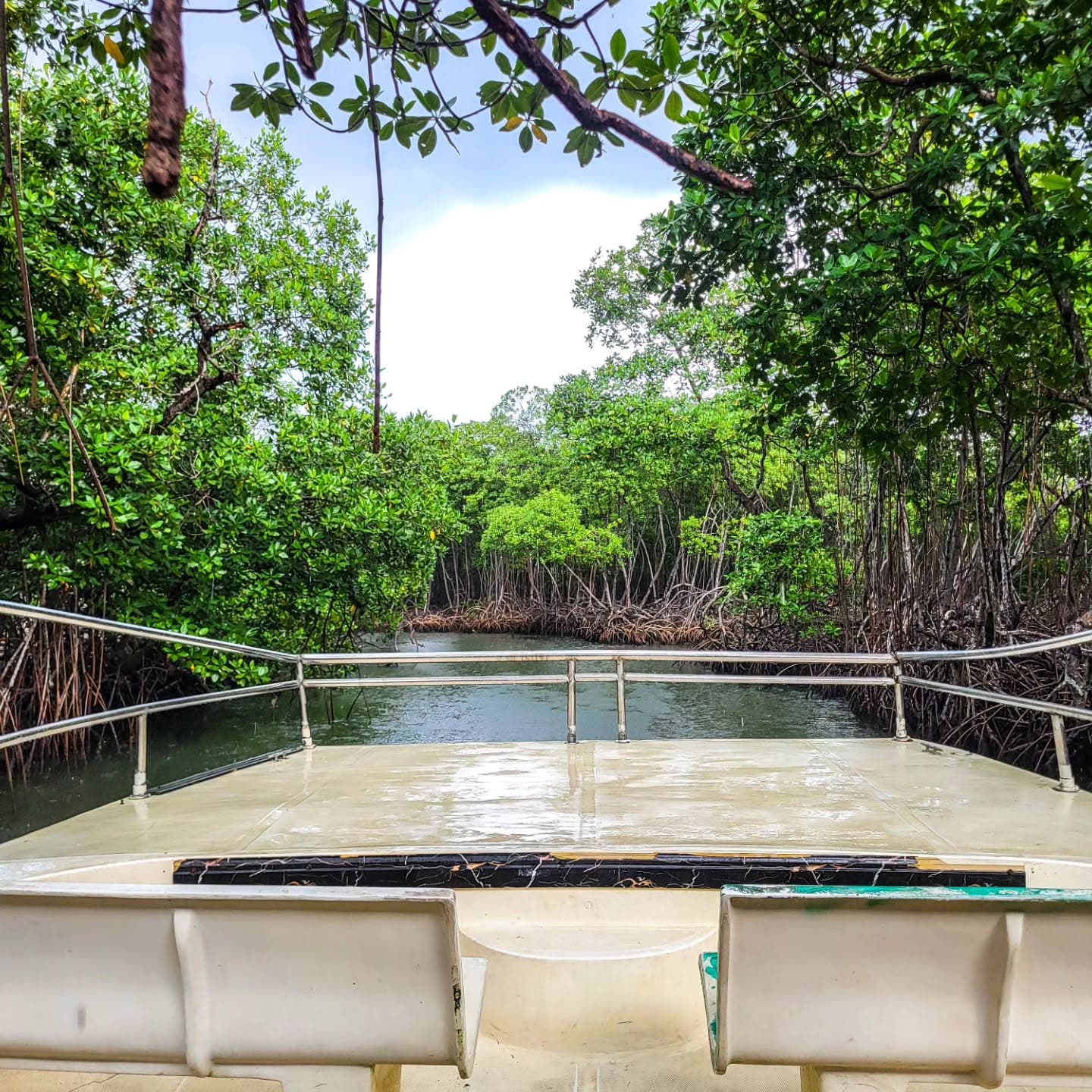 Los Haitises All One: Kayaking, Hiking, Boat, and Swimming - Photo 2 (Gallery view)