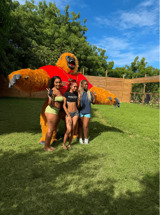 Monkey House VIP – Experiencia exclusiva en Punta Cana - Photo 2 (Gallery view)