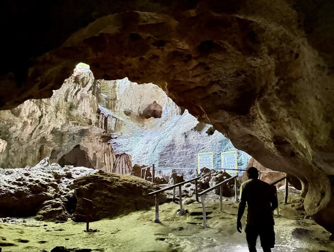 Los Haitises 4 Caves expedition & Rain Forest walk