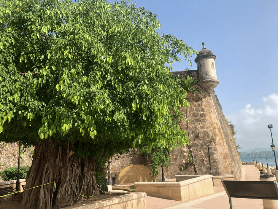 San Juan: Old San Juan Guided Walking Tour - Dominican Republic