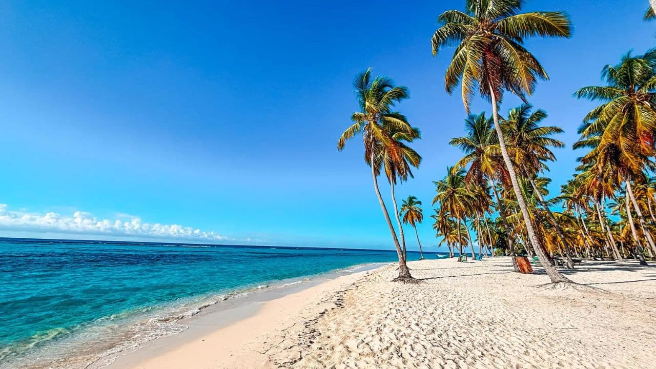 From La Romana: Saona Island for Costa Cruises Passengers	
