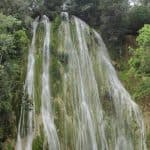 Dominican Republic: El Limón Waterfall Horseback Riding Tour