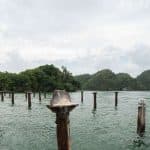 Los Haitises National Park: Boat and Walking Tour with Lunch