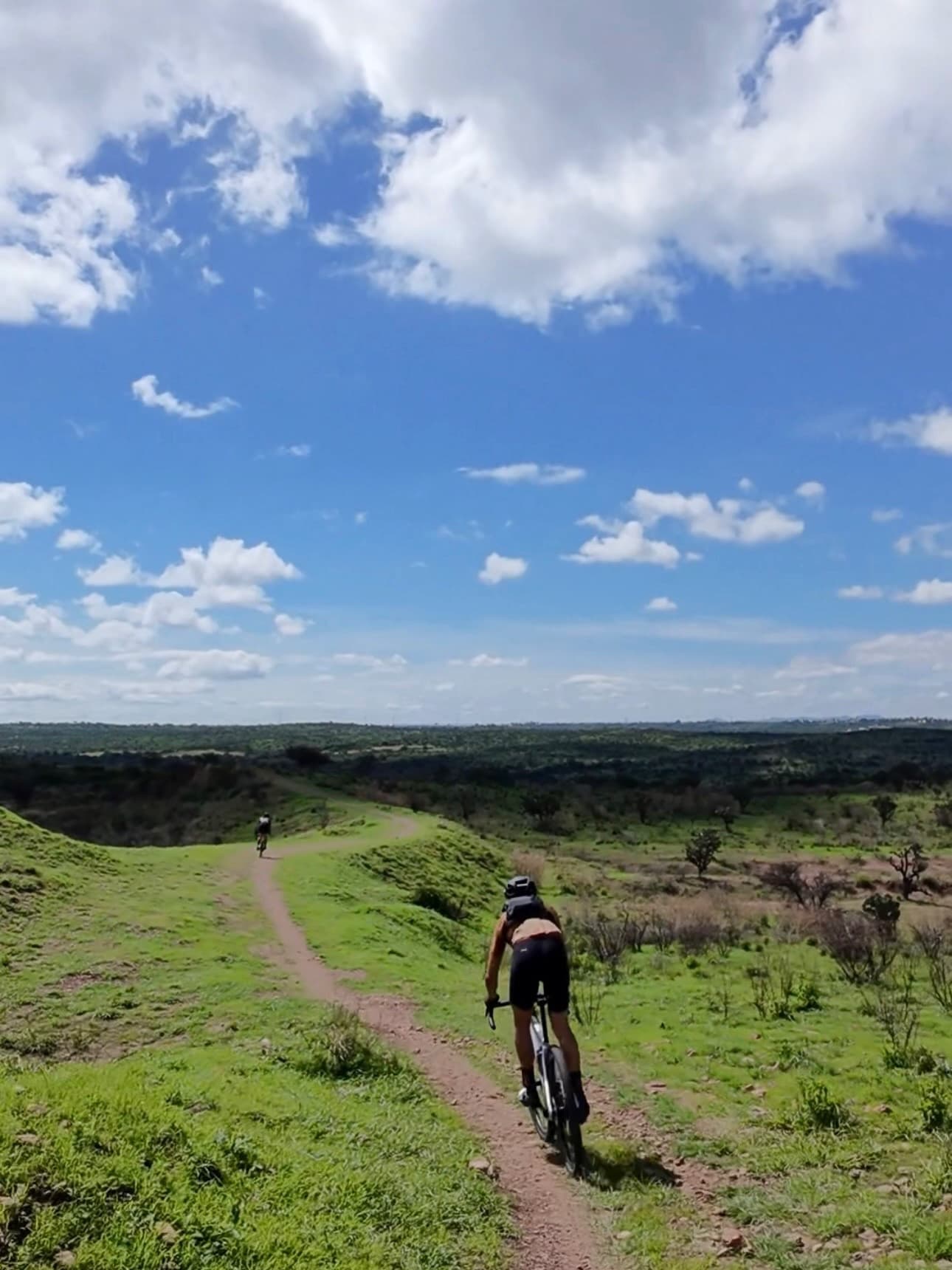Los Haitises Mountainbike + private Bootsfahrt - Photo 5 (Gallery view)