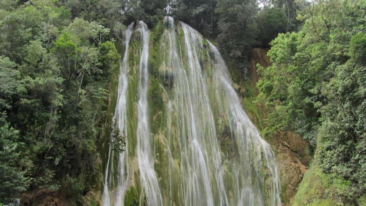 Dominican Republic: El Limón Waterfall Horseback Riding Tour