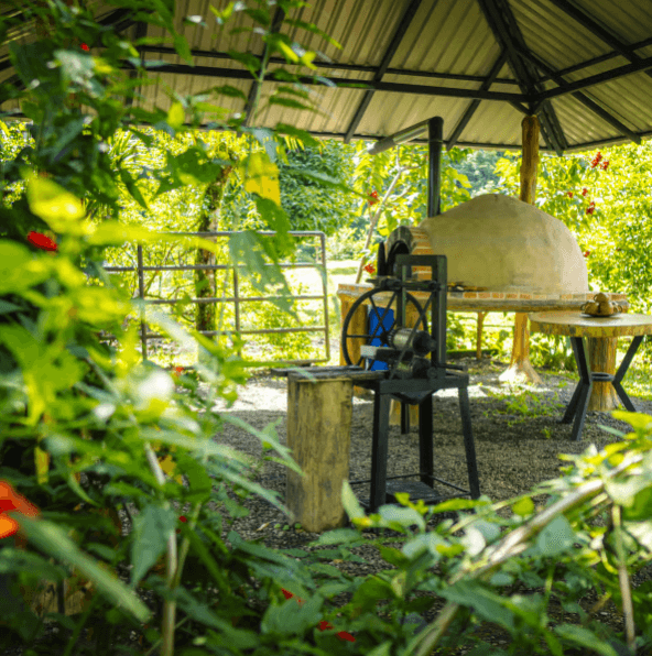 La Fortuna: Wycieczka na lenistwo w parku wulkanu Arenal i lokalna przekąska - Photo 5 (Gallery view)