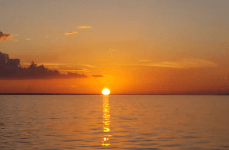 Sunset Yacht Cruise + Dinner at Kike-Kcho Restaurant